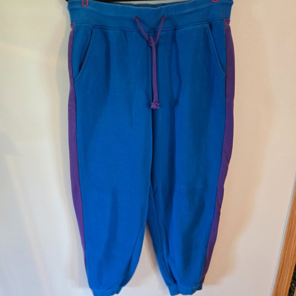 Lego x Target Blue and Purple sweatpants